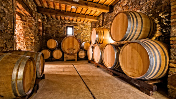 botti cantina