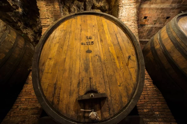 winemaker experience private tour oak barrels cellar