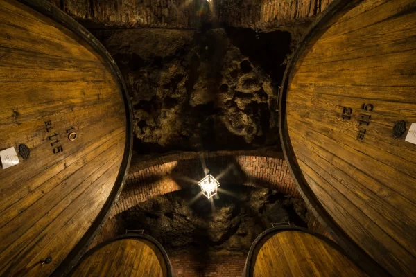 chianti wine cellar barrels wine tasting