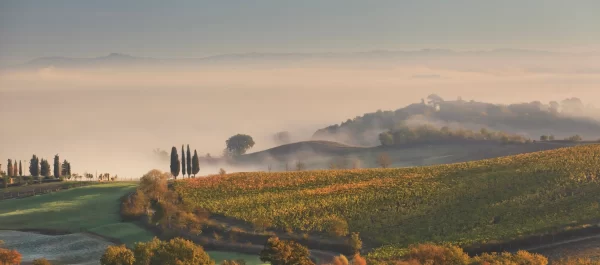 crete senesi private tour vineyards rolling hills misty landscape