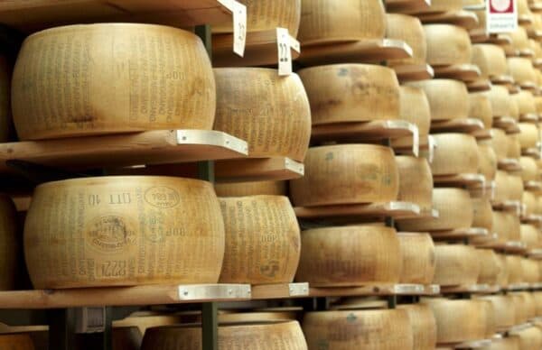 parmigiano factory tour and parma city centre
