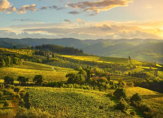 07 VisitChianti Panzano 2 2866x2068 1 scaled