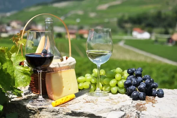 chianti wine tours
