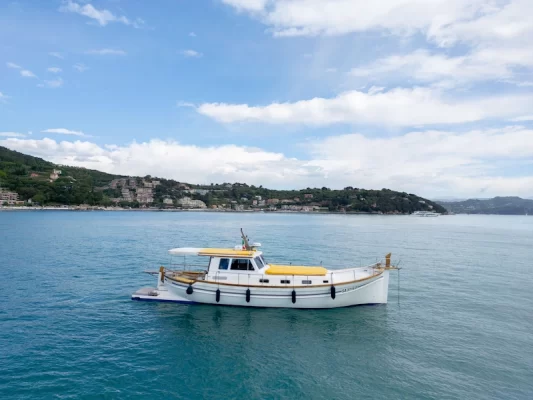 cinque terre liguria private tour motorboat coastline