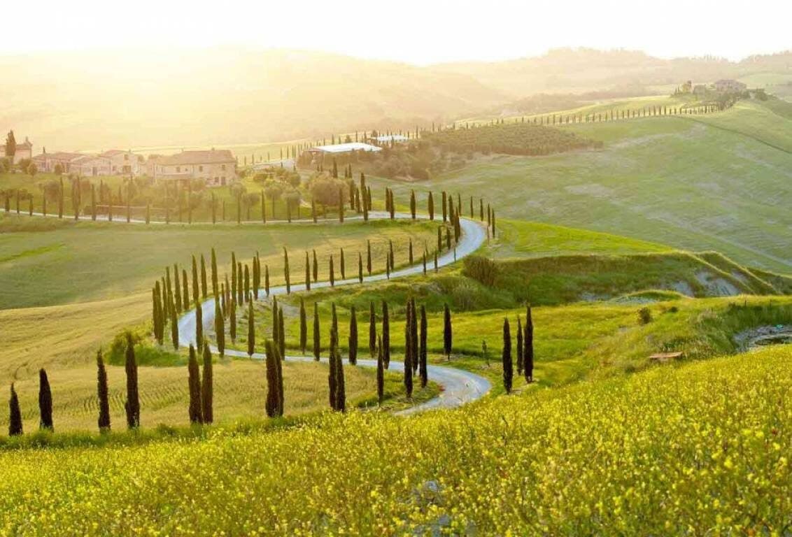 exclusive brunello 3
