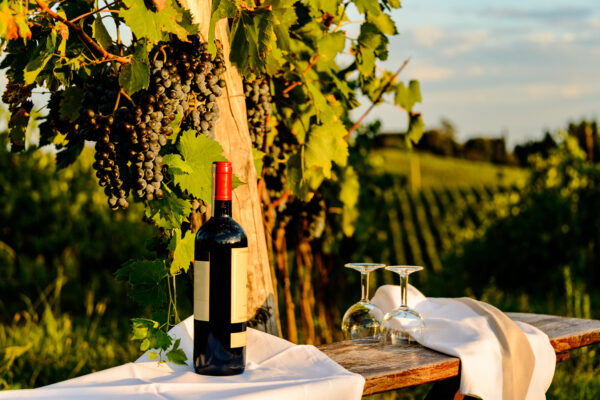 At,A,Winery,In,Tuscany,In,The,Chianti,Region,For