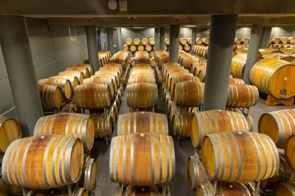 barolo langhe piedmont private luxury tour wine cellar oak barrels