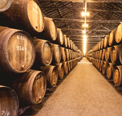 montalcino brunello wine tour private tour wine barrels cellar
