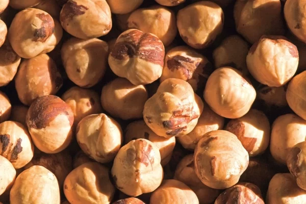 langhe hills piedmont luxury tour hazelnuts peeled