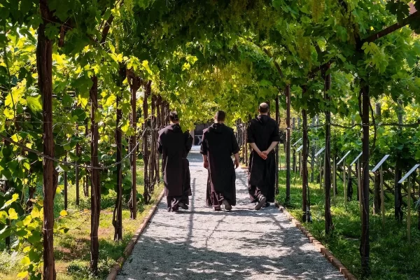 venice private tour monks vineyard